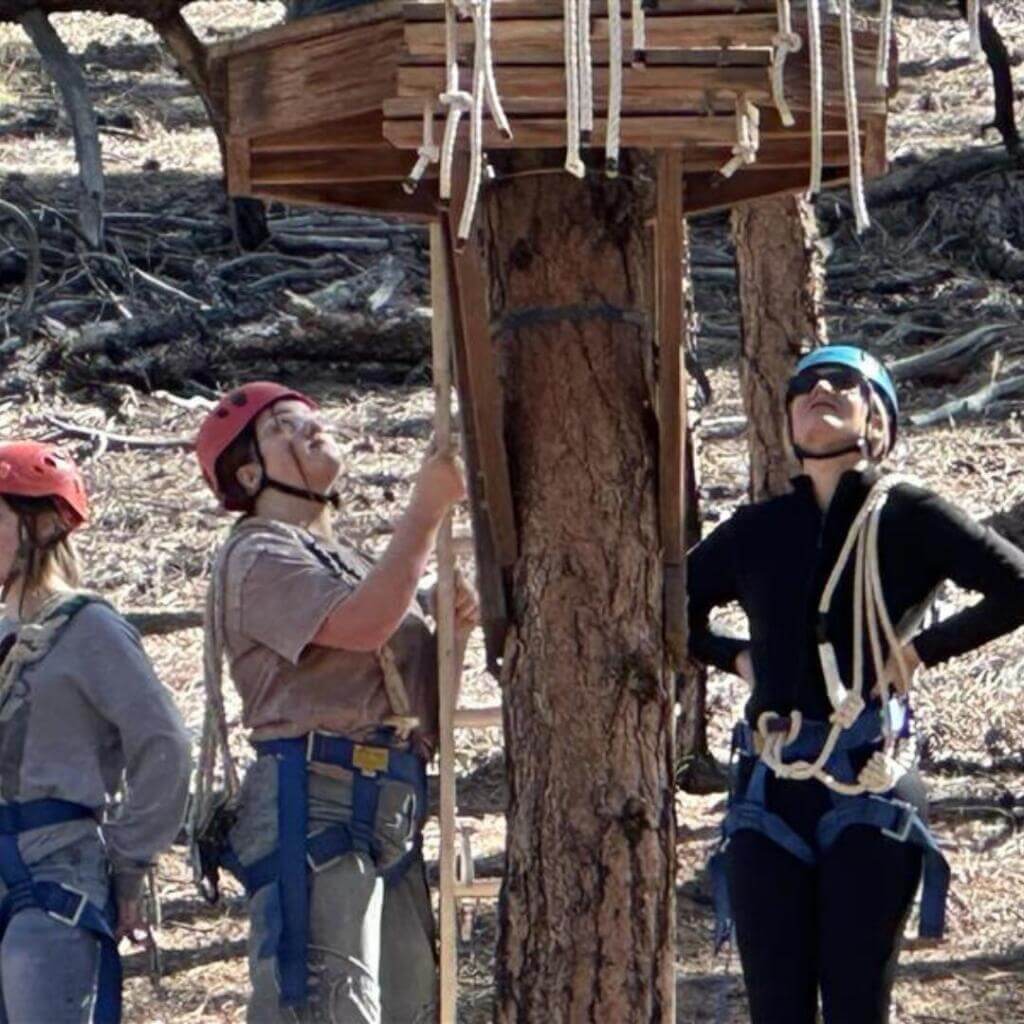 Кілька людей у шоломах і пасках готуються до занять на мотузковому курсі в лісовій місцевості. Одна людина дивиться вгору на дерев'яну платформу, закріплену на дереві.